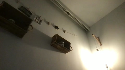 alex877x  21-10-2022